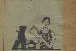 老图书–《一个菲律宾妓女的日记》电子版合集