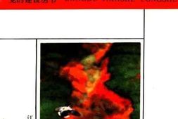 老图书–《一代风流》电子版合集