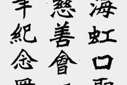 老图书–《上海虹口圣若瑟慈善会二十五年纪念册》电子版合集