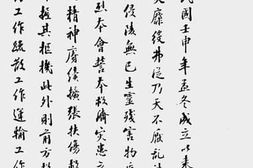 老图书–《世界红卍字会中华东南各会联合救济总监理部总报告》电子版合集