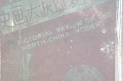 老图书–《东北巨变血泪大画史》电子版合集