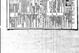 《东南日报》(福建南平)1933-1934年合集 电子版.