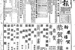《东南日报》(福建南平)1935年合集 电子版.