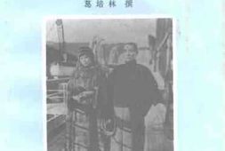 老图书–《中山文史_第32辑_和平_奋斗_就中国——孙中山先生晚年北上纪实》电子版合集
