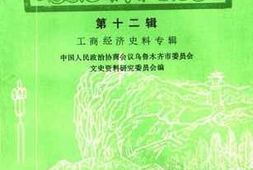 老图书–《乌鲁木齐文史资料_第12辑_工商经济史料专辑》电子版合集
