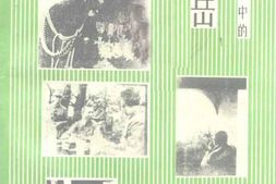 老图书–《乐昌文史_第11辑_抗日战争中的薛岳》电子版合集