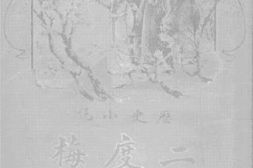 老图书–《二度梅》电子版合集
