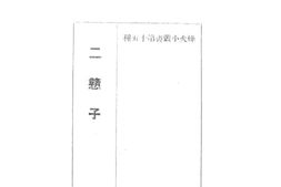 老图书–《二戆子》电子版合集
