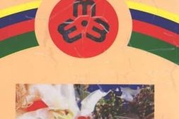 老图书–《云岭巾帼谱新章》电子版合集