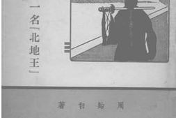 老图书–《亡蜀遗恨》电子版合集