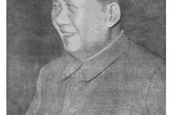 《人民日报》1968年高清影印版 电子版.