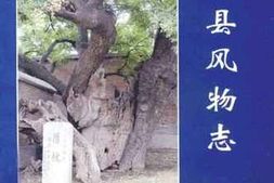 老图书–《任县风物志》电子版合集