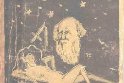 老图书–《克兰丽蒙特》电子版合集