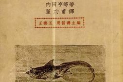 老图书–《动物分类：下》电子版合集