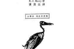 老图书–《动物机构学》电子版合集