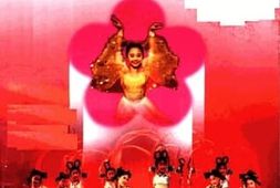 老图书–《南京小红花》电子版合集
