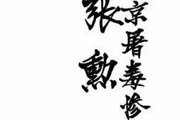 老图书–《南京屠毒惨史——张勋》电子版合集