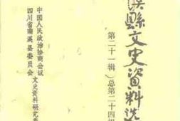 老图书–《南溪县文史资料选辑_第21辑》电子版合集