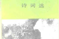 老图书–《台儿庄大战诗词选》电子版合集