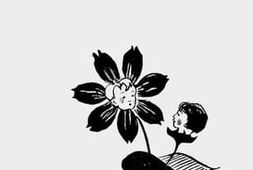 老图书–《台湾省育幼院周年概况》电子版合集