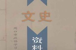 老图书–《周口文史资料选辑_2002年第1辑》电子版合集