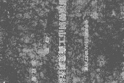 老图书–《哈尔滨特别市工商业调查统计集(下集)》电子版合集