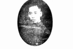 老图书–《国民军史稿》电子版合集