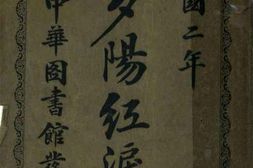 老图书–《夕阳红泪录》电子版合集