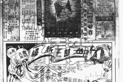 《大公报》上海1947年影印版合集 电子版.