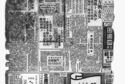 《大公报》上海1950年影印版合集 电子版.