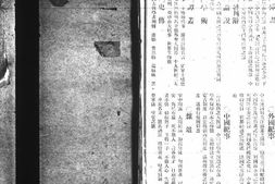 老报纸–《大陆报》(浙江金华)1902-1904年合集 电子版