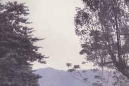 老图书–《天涯征战——周成光回忆录》电子版合集