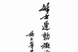 老图书–《妇女运动概论》电子版合集