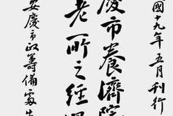 老图书–《安庆市养济院改组养老所之经过》电子版合集
