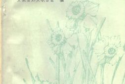 老图书–《安徽女英烈》电子版合集