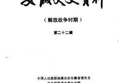 老图书–《安徽文史资料_第22辑（解放战争时期）》电子版合集