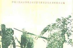老图书–《宜昌市文史资料_总第16辑_宜昌抗战纪实》电子版合集