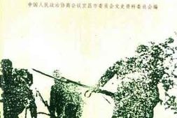 老图书–《宜昌抗战纪实》电子版合集
