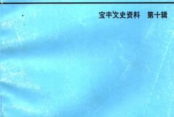 老图书–《宝丰文史资料_第10辑_魔术之乡》电子版合集