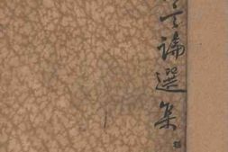 老图书–《小言论选集》电子版合集