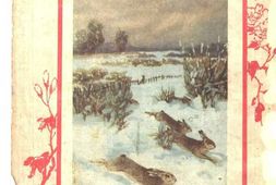 老期刊–《小说世界》(上海)1923-1923年合集 电子版