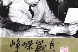 老图书–《峥荣岁月》电子版合集