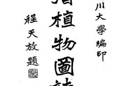 老图书–《峨眉植物图志_第1卷1号》电子版合集
