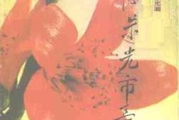 老图书–《广州文史_第47辑_回忆朱光市长》电子版合集