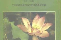 老图书–《广州文史资料_第54辑_区、县级市文史精华选》电子版合集