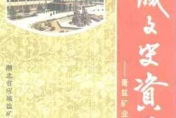老图书–《应城文史资料_第7辑_膏盐矿业专辑之三》电子版合集