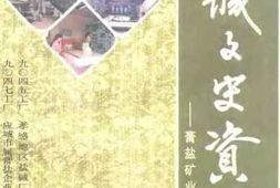 老图书–《应城文史资料_第8辑_膏盐矿业专辑之四》电子版合集
