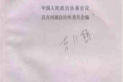 老图书–《庭州巨变》电子版合集