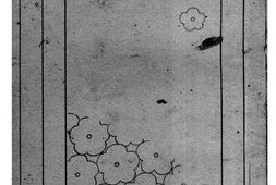 老图书–《彭玉麟梅花文学之研究》电子版合集