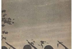 老图书–《征野千里：一兵士の手記》电子版合集